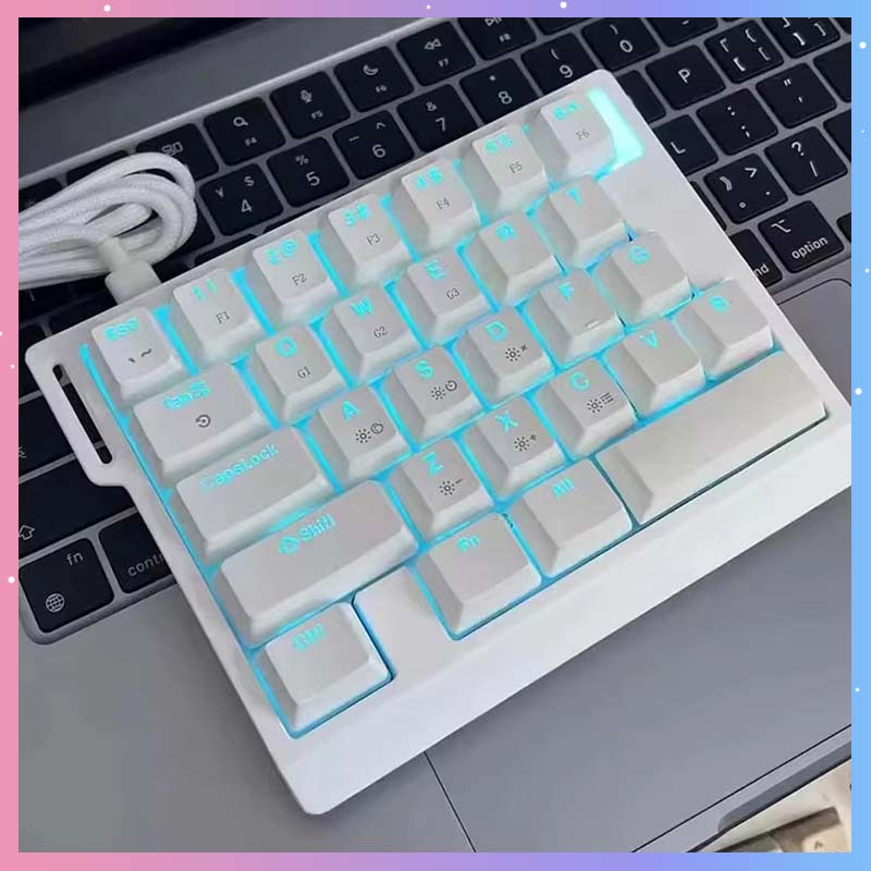 Gaming Keyboard Mechanical - HE30 Mechanical Gaming Keyboard 29keys Magnetic